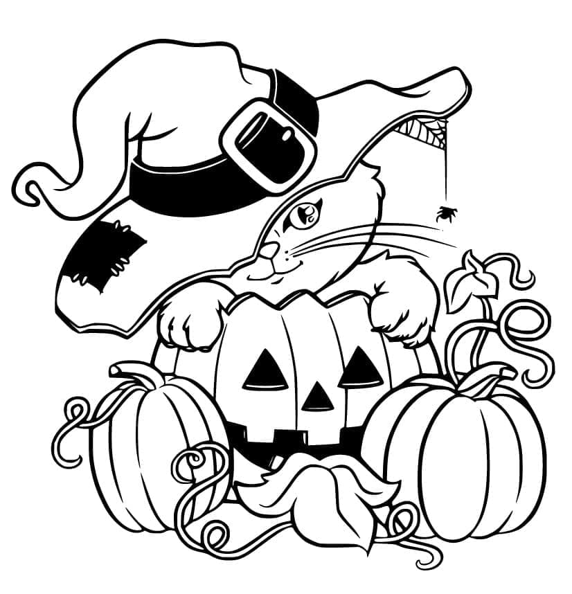 Halloween Kedi ve Cadı Şapkası Boyama Sayfası