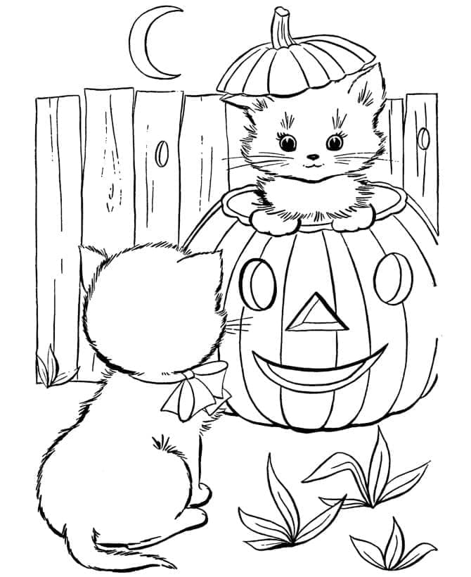 Halloween Yavru Kediler Boyama Sayfası