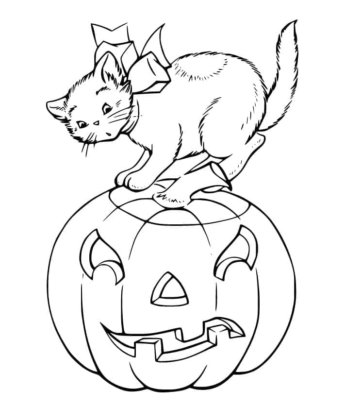 Küçük Halloween Kedi Boyama Sayfası