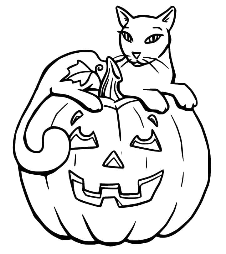 Normal Halloween Kedi Boyama Sayfası