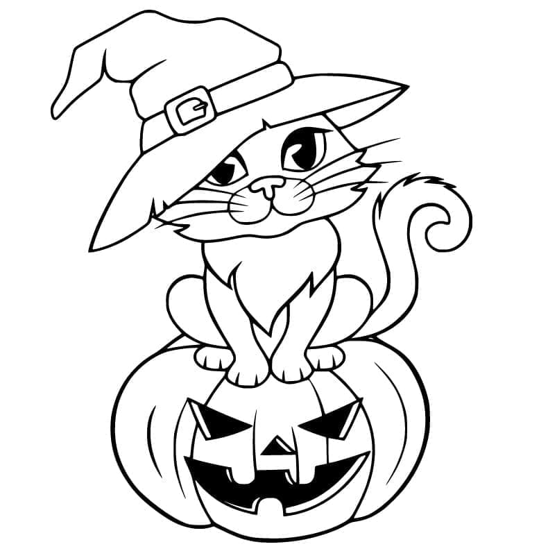Tatlı Halloween Kedi Boyama Sayfası