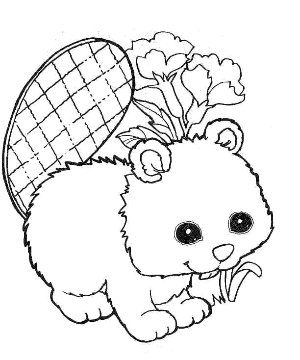 Baskı Kunduz Boyama Sayfası