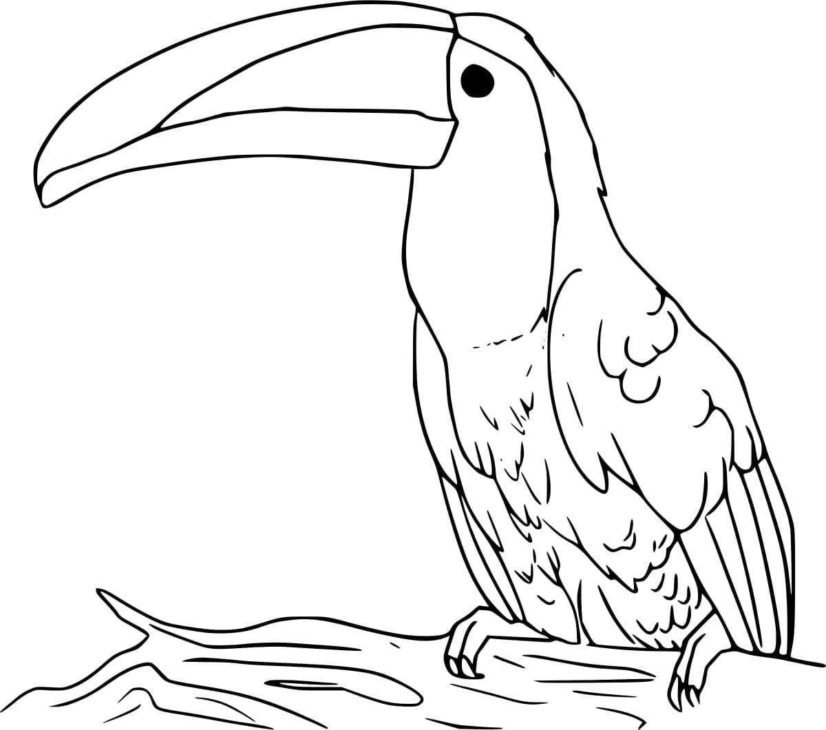 Bir Tukan Kuşu Boyama Sayfası