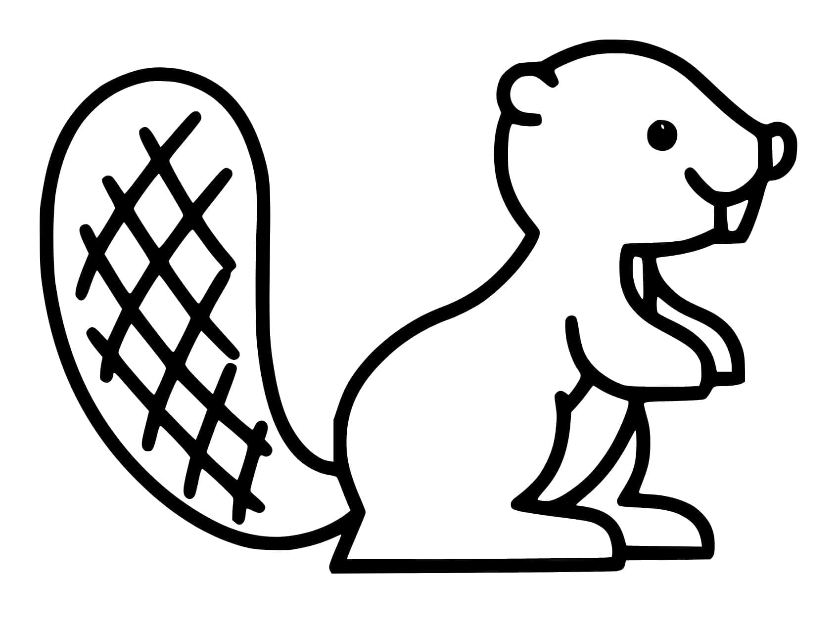 Çok Basit Kunduz Boyama Sayfası