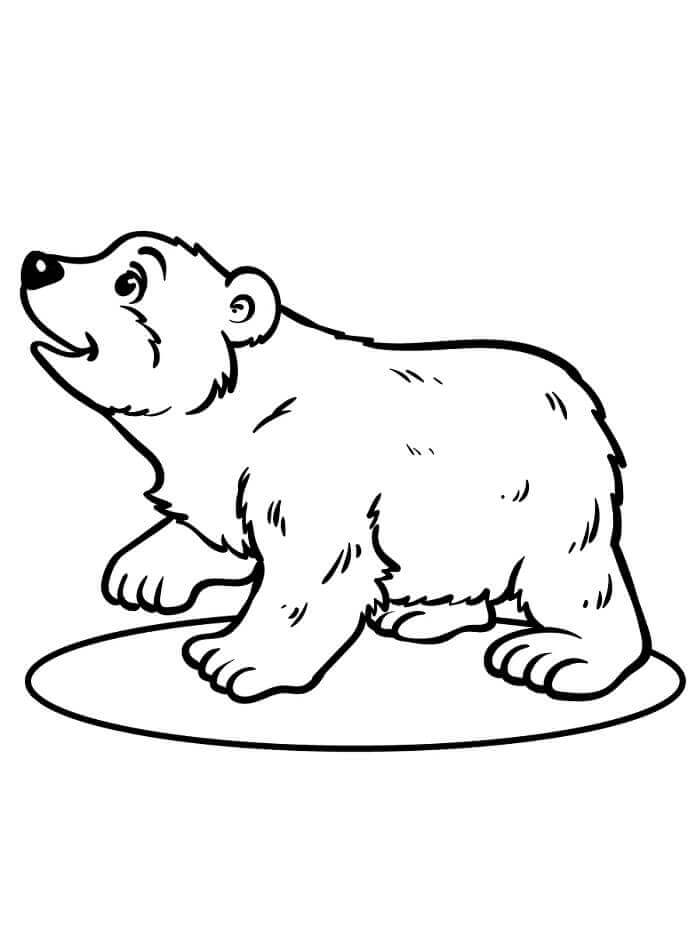 Hayvan Kutup Ayısı Boyama Sayfası