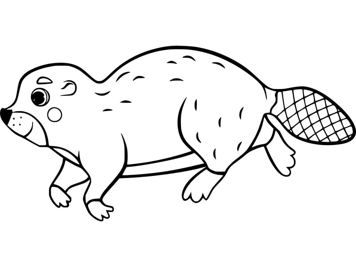 Kunduz Yazdırılabilir Çocuklara Boyama Sayfası