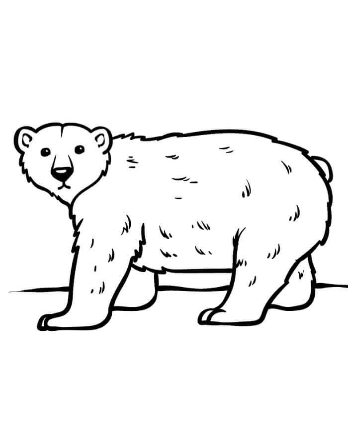 Kutup Ayısı Yazdırılabilir Ücretsiz Boyama Sayfası