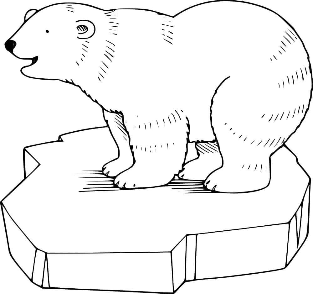 Kutup ayısı (2) Boyama Sayfası