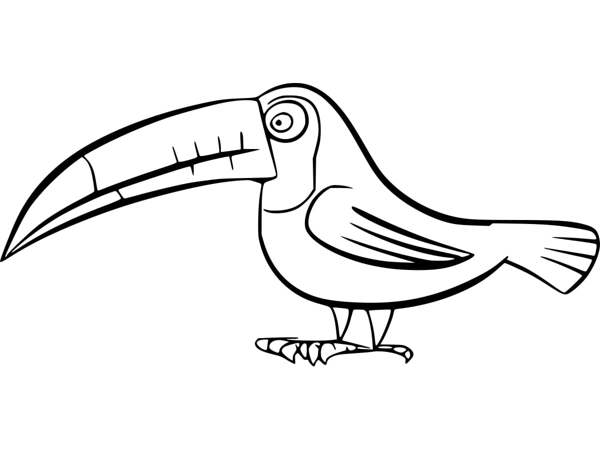 Lekeli Gagalı Tukanet Boyama Sayfası