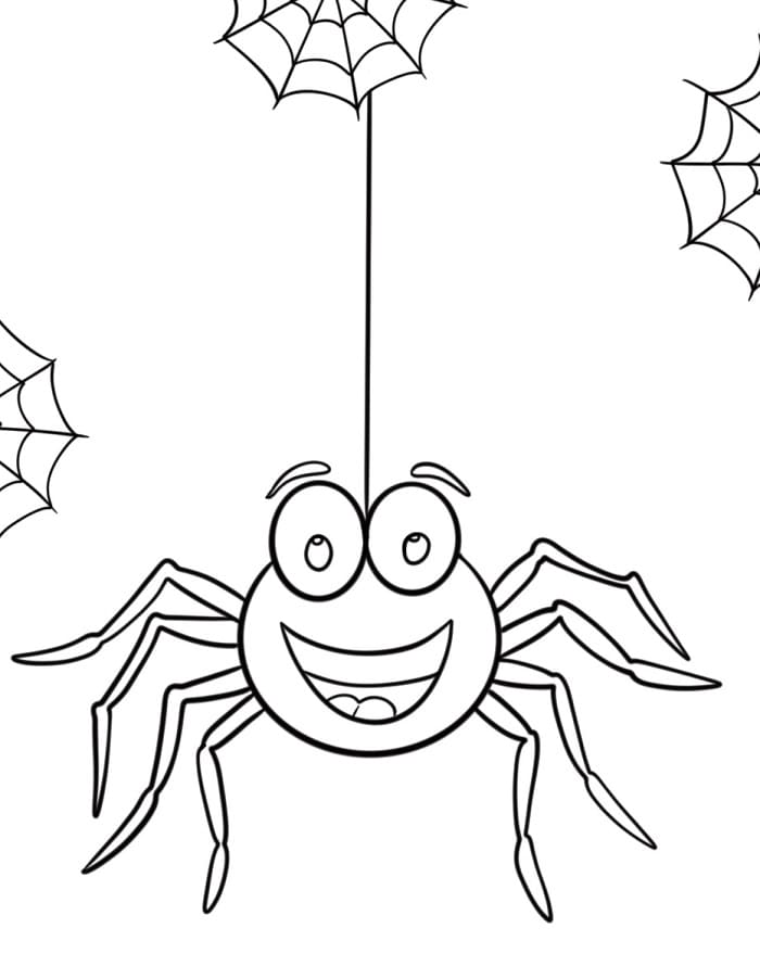 Normal Örümcek Boyama Sayfası