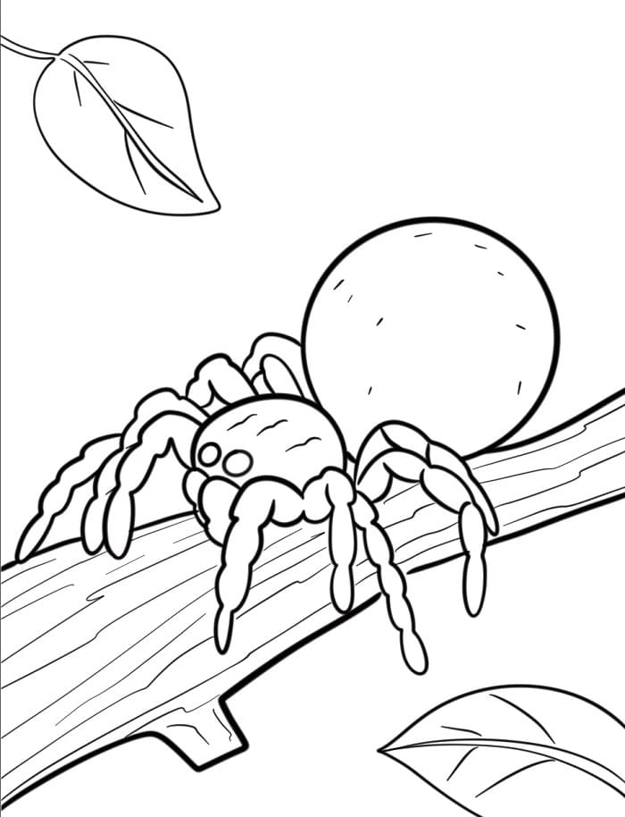 Sürünen Örümcek Boyama Sayfası