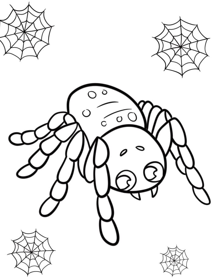 Temel Örümcek Boyama Sayfası