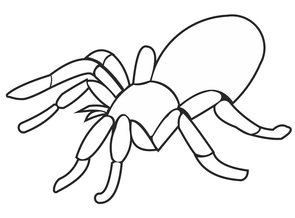 Ücretsiz Örümcek Çocuklar İçin Boyama Sayfası