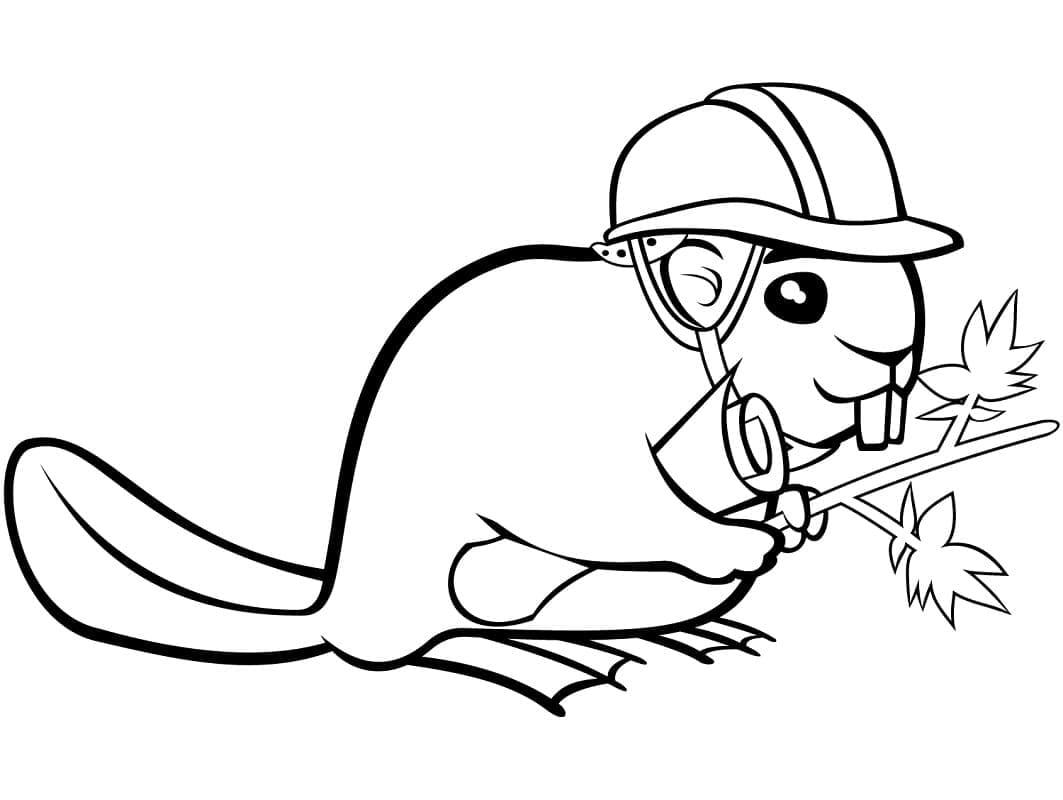 Ücretsiz Yazdır Kunduz Boyama Sayfası