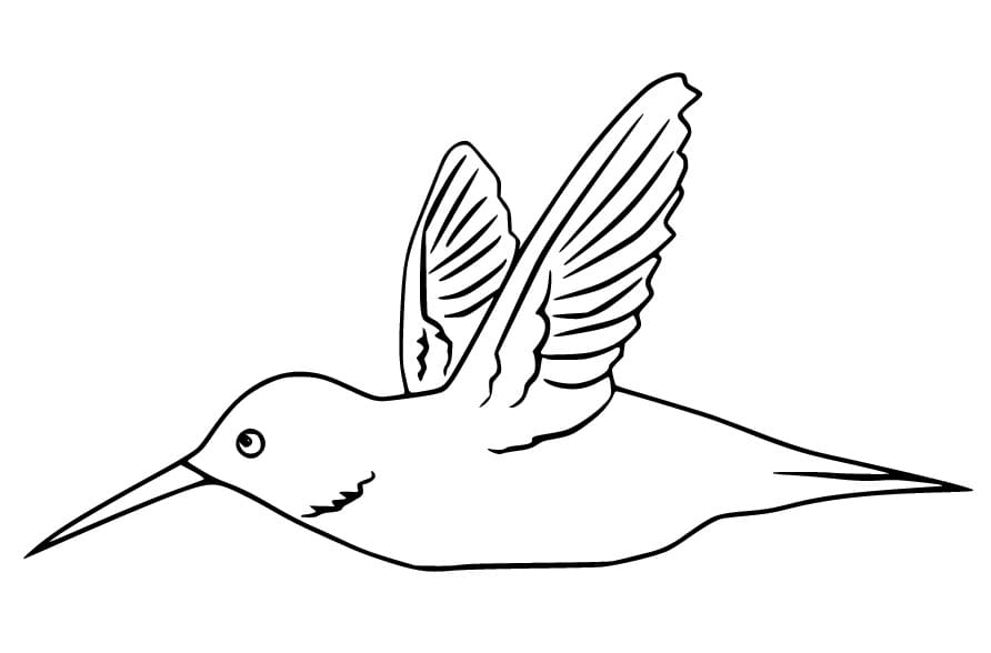 Basit Sinekkuşu Boyama Sayfası