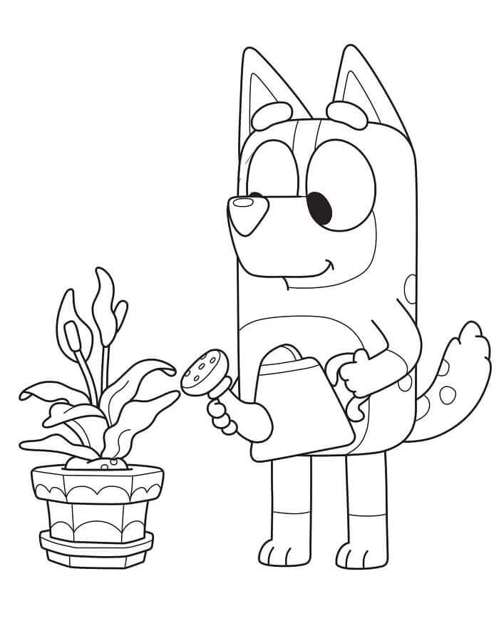Bluey Çiçek Suluyor Boyama Sayfası