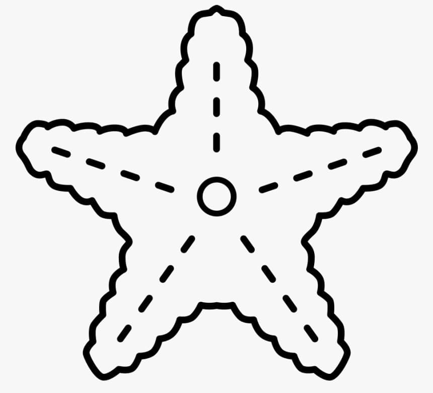 Çok Kolay Denizyıldızı Boyama Sayfası