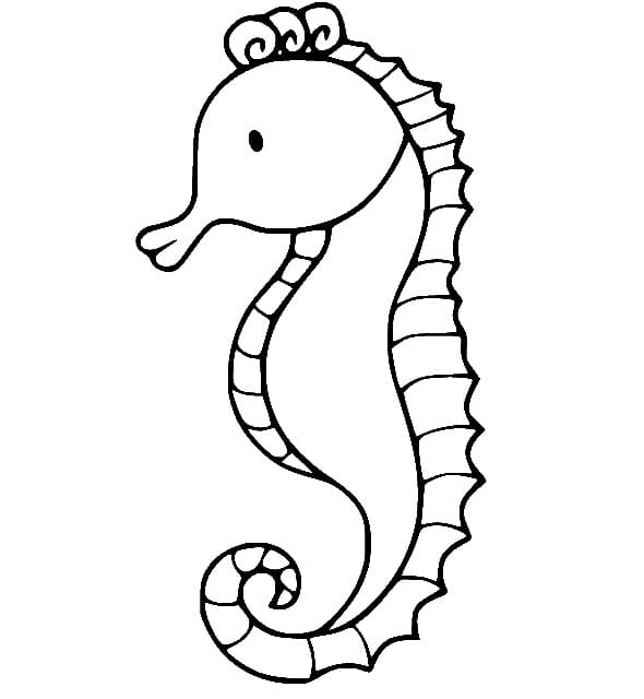 Denizatı Çocuklar İçin Boyama Sayfası