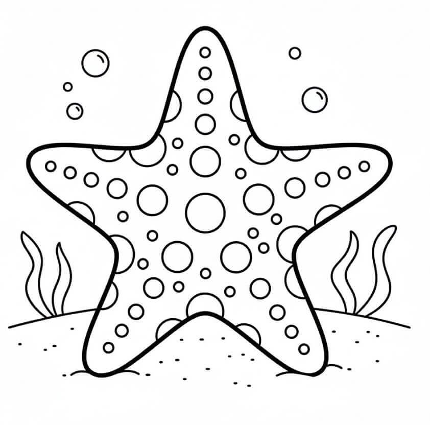 Güzel Denizyıldızı Boyama Sayfası