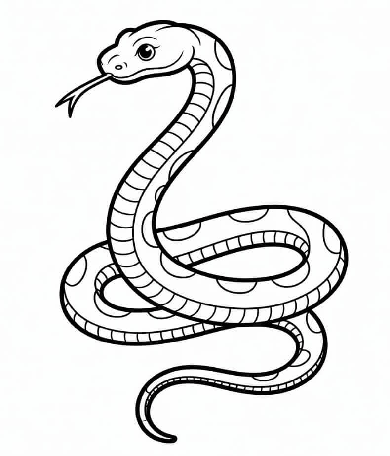 Harika Yılan Boyama Sayfası