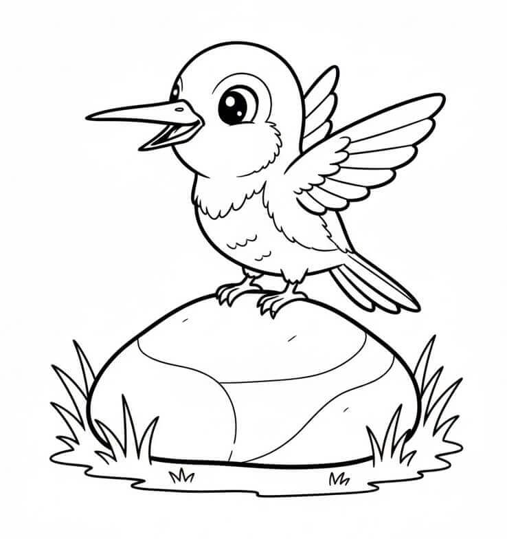 Kayada Sinekkuşu Boyama Sayfası