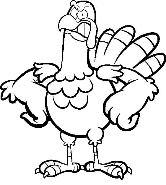 Kızgın Hindi Boyama Sayfası