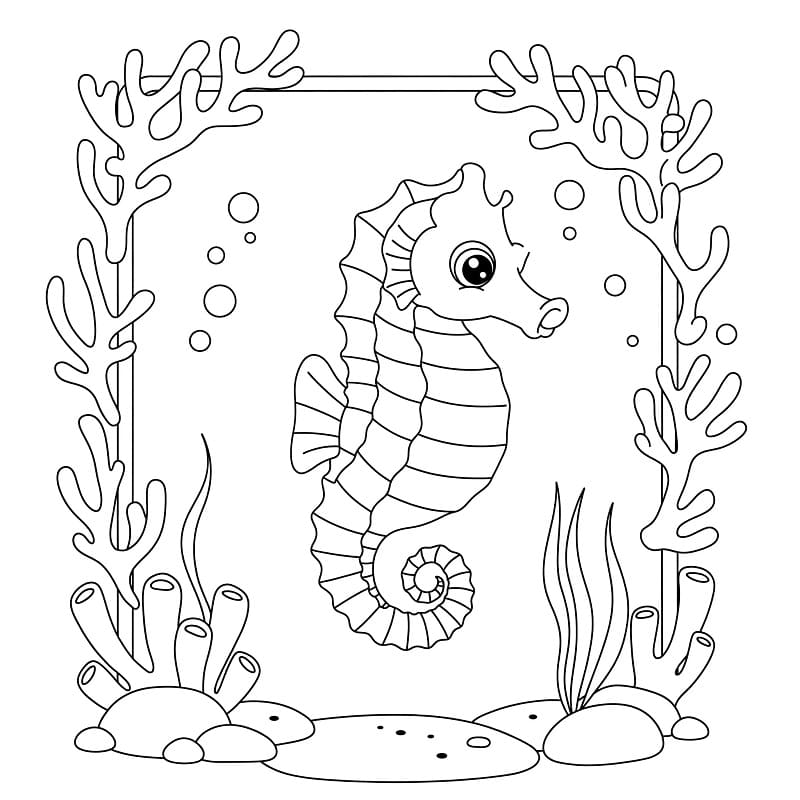 Okyanus Denizatı Boyama Sayfası