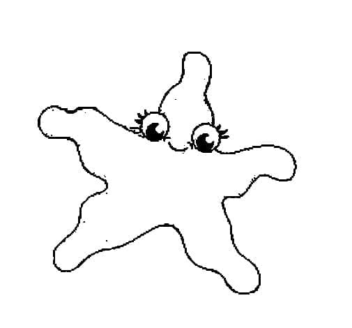 Şirin Denizyıldızı Boyama Sayfası