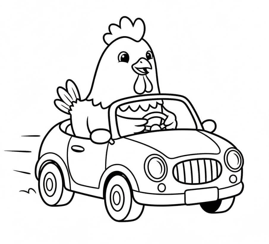 Tavuk Araba Kullanıyor Boyama Sayfası
