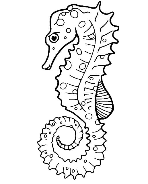 Yazdır Denizatı Boyama Sayfası