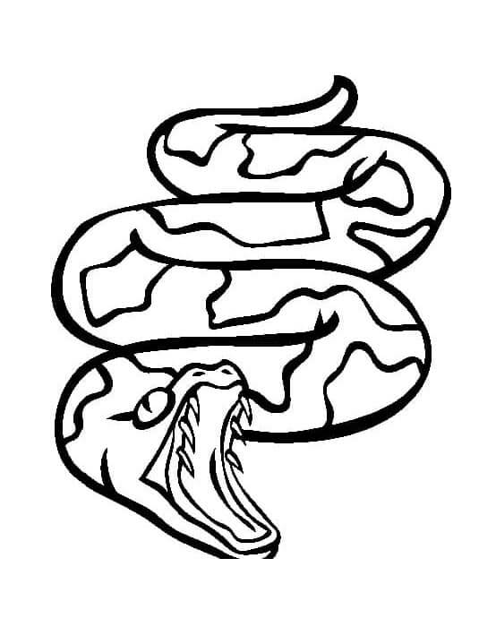 Yazdırılabilir Yılan Çocuklar İçin Boyama Sayfası