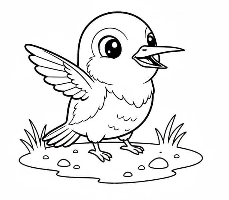 Yerdeki Sinekkuşu Boyama Sayfası