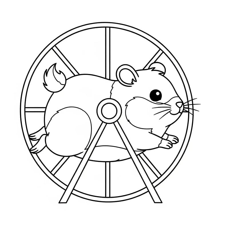 Ağlayan Hamster Boyama Sayfası