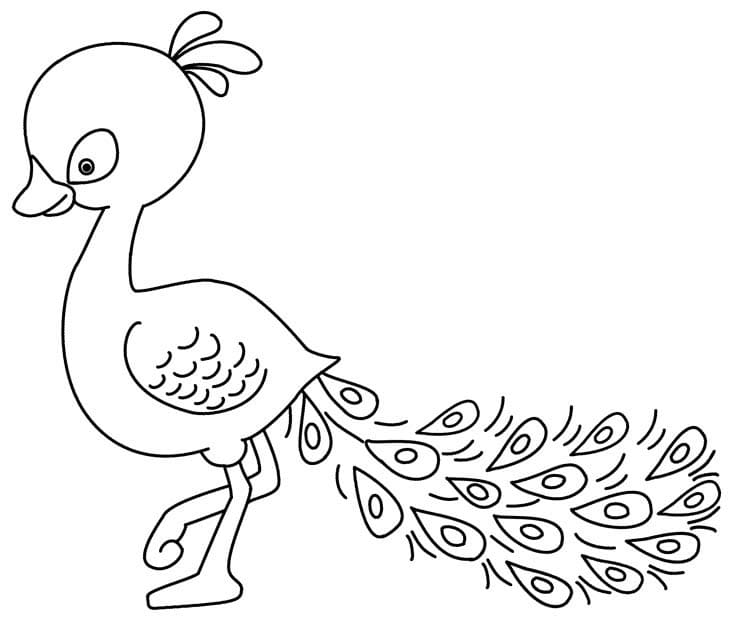 Bebek Tavuskuşu Boyama Sayfası