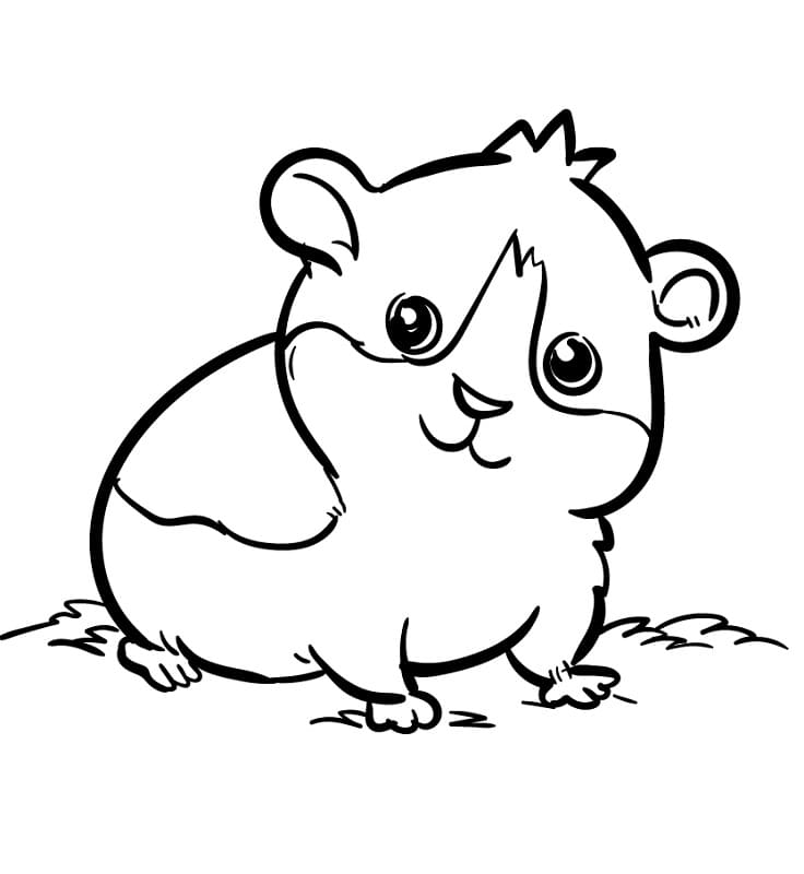 Bedava Yazdırılabilir Hamster Boyama Sayfası