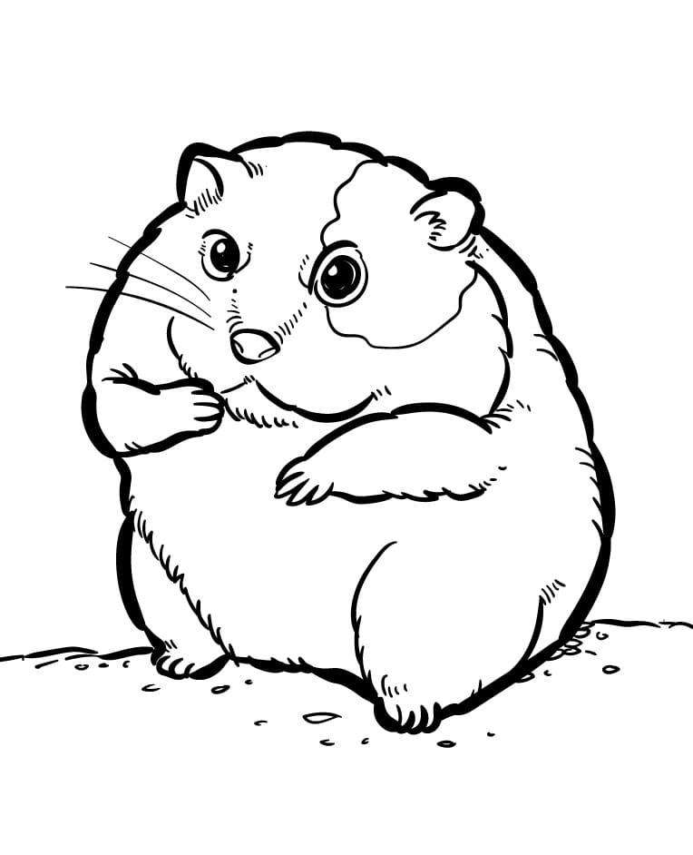 Bir Hamster Boyama Sayfası