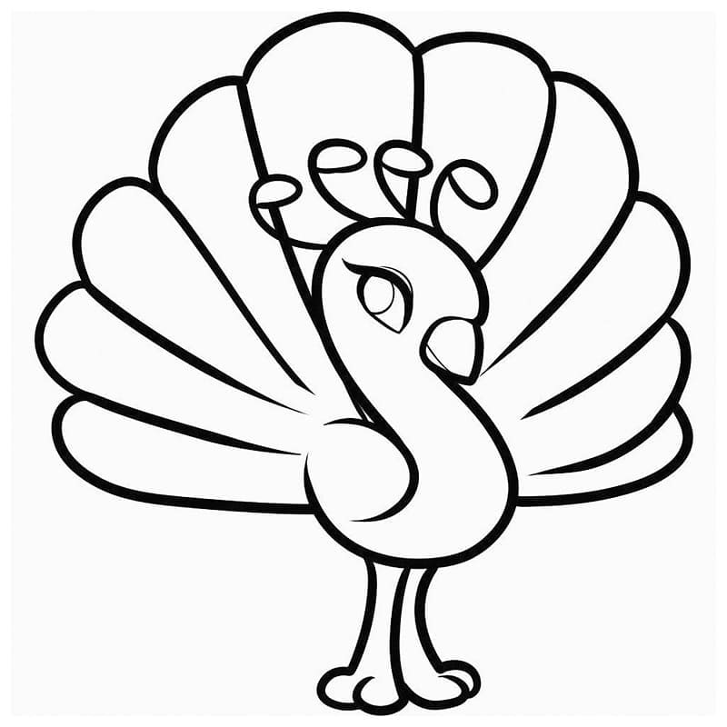 Çok Hoş Tavuskuşu Boyama Sayfası