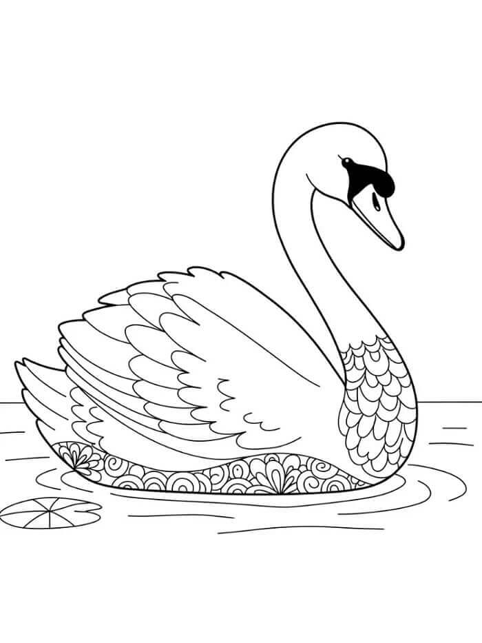 Güzel Kuğu Boyama Sayfası