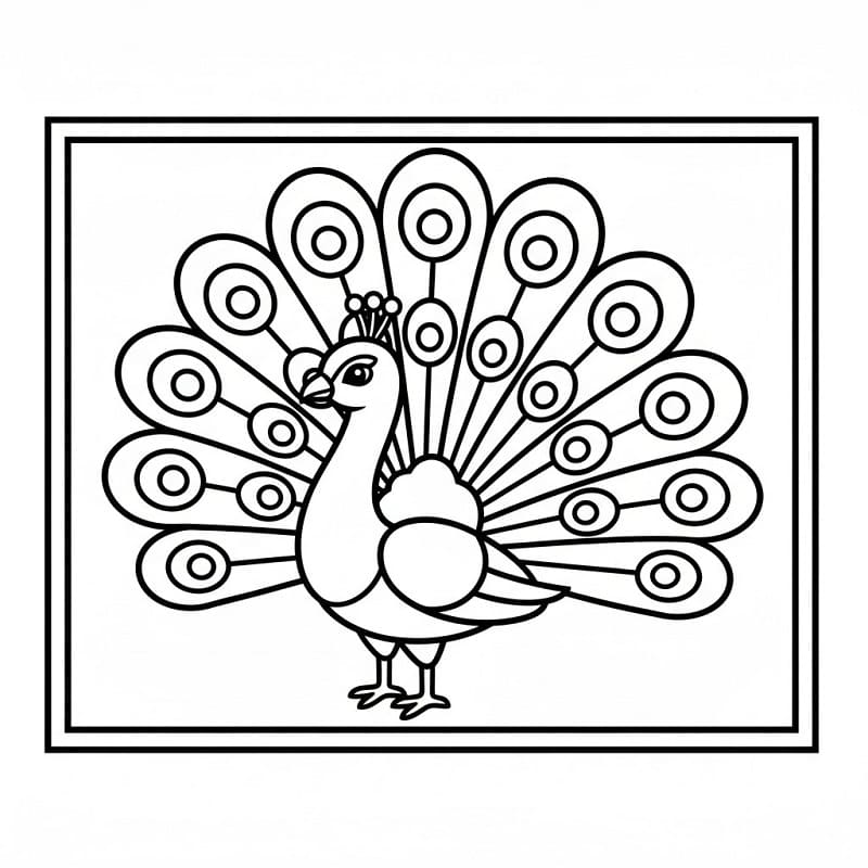 Güzelce Bir Tavuskuşu Boyama Sayfası
