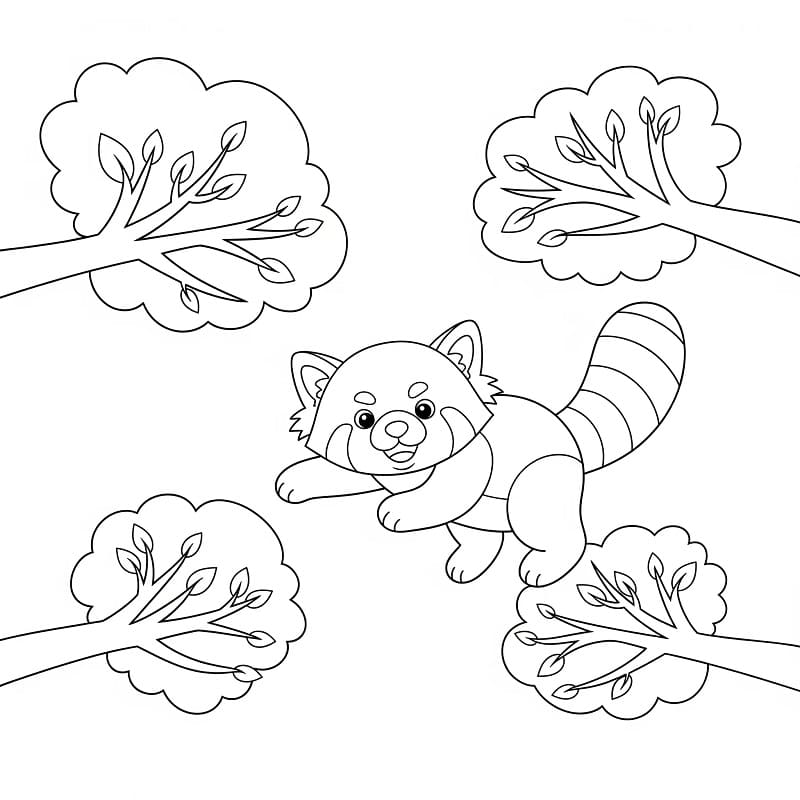 Hoş Kızıl Panda Boyama Sayfası