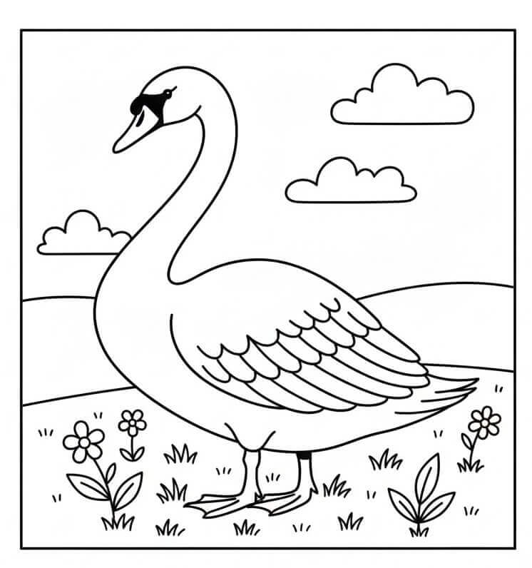 Hoş Kuğu Boyama Sayfası