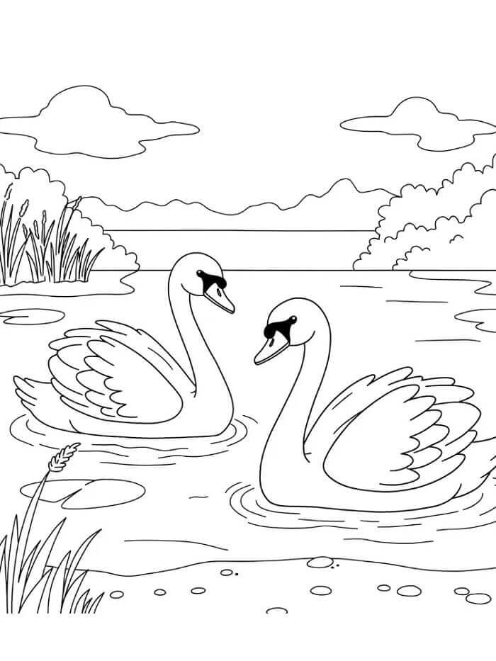 İki Kuğu Boyama Sayfası