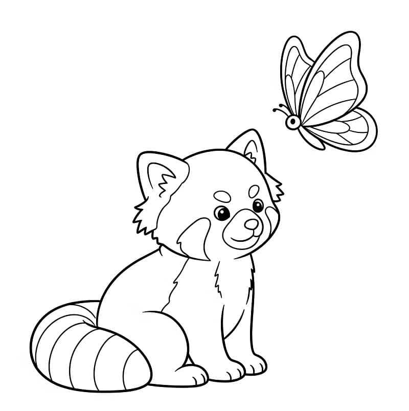 Kelebekli Kızıl Panda Boyama Sayfası