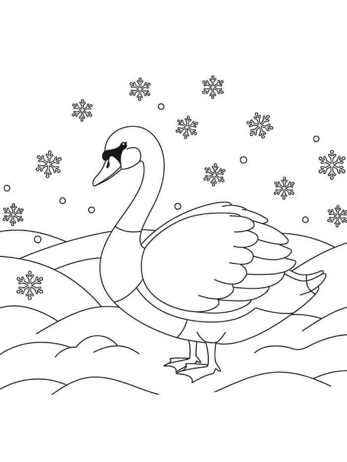 Kışta Kuğu Boyama Sayfası