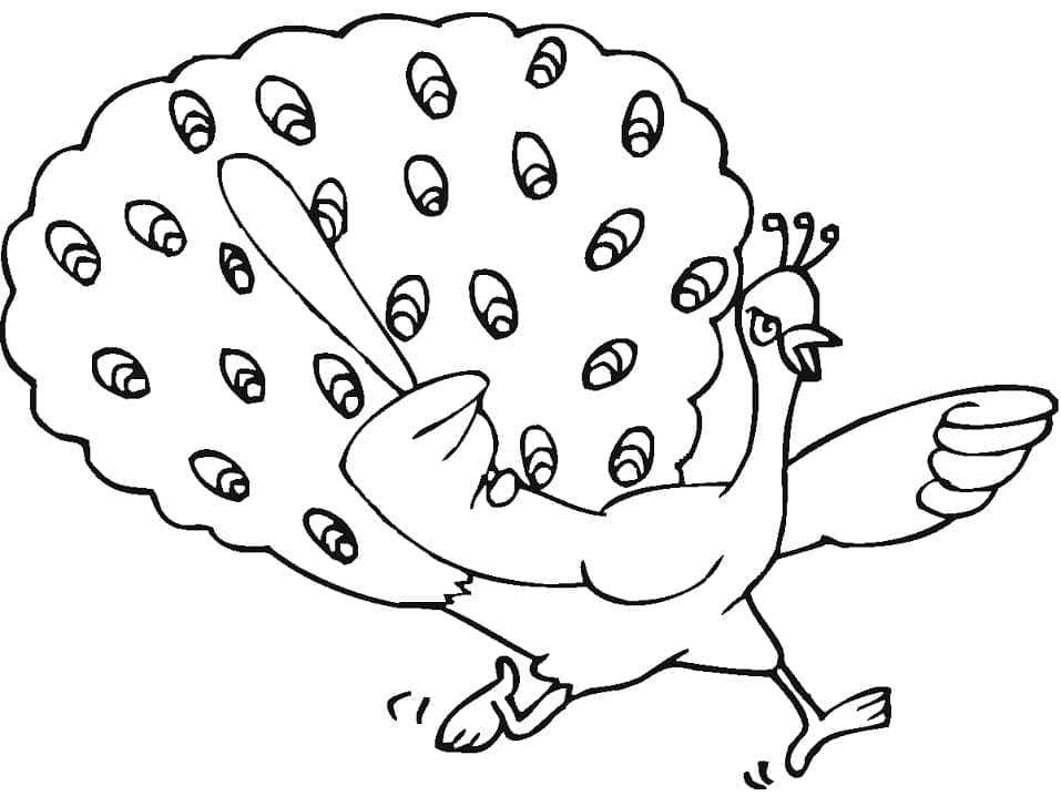 Kızgın Tavuskuşu Boyama Sayfası