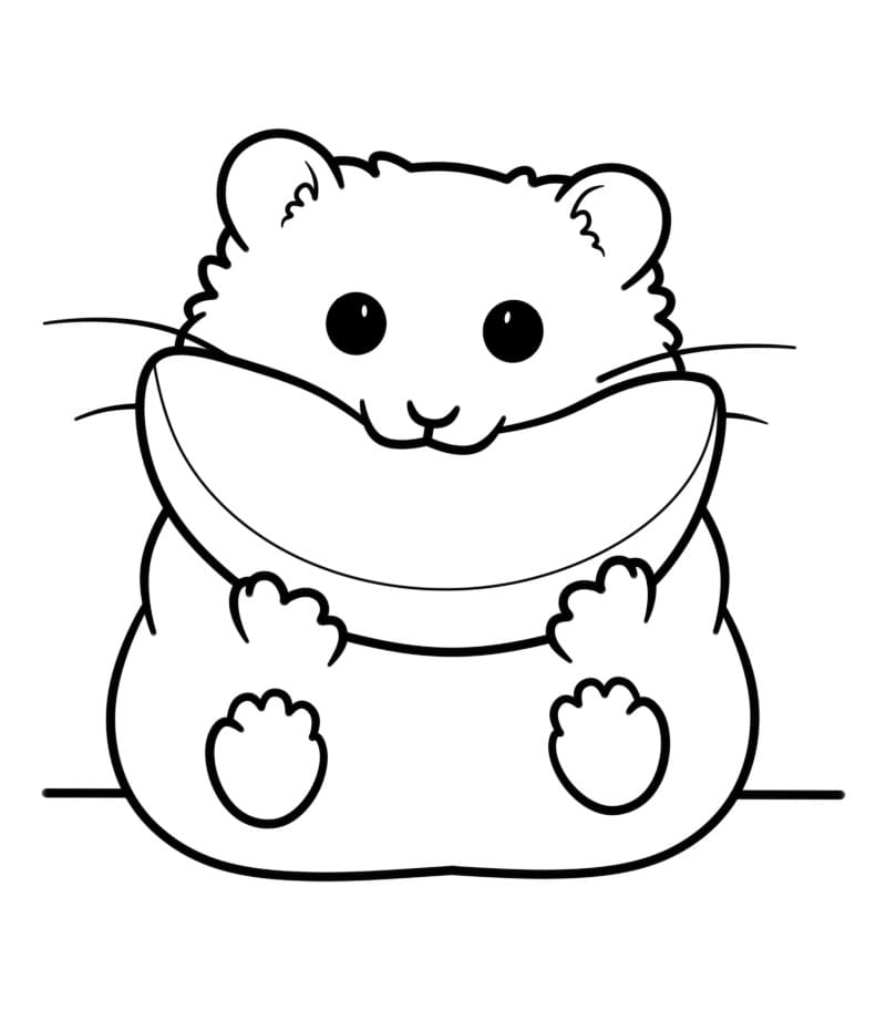 Kolay Hamster Boyama Sayfası