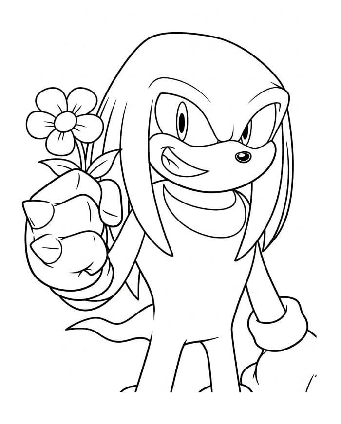 Kolay Knuckles Boyama Sayfası