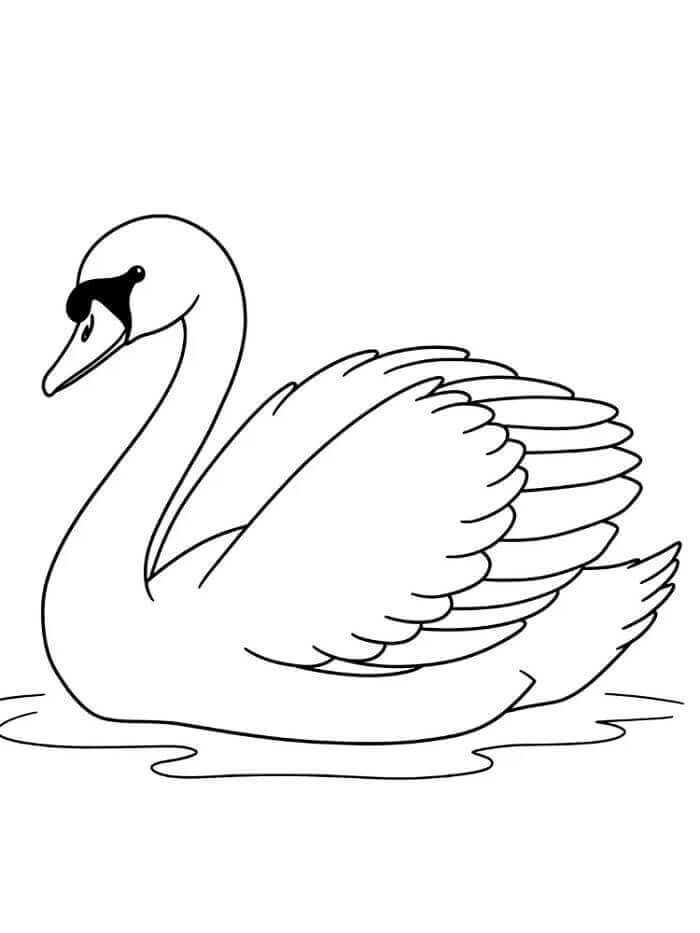 Kolay Kuğu Boyama Sayfası