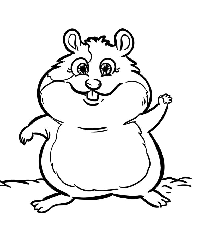 Komik Çizgi Hamster Boyama Sayfası