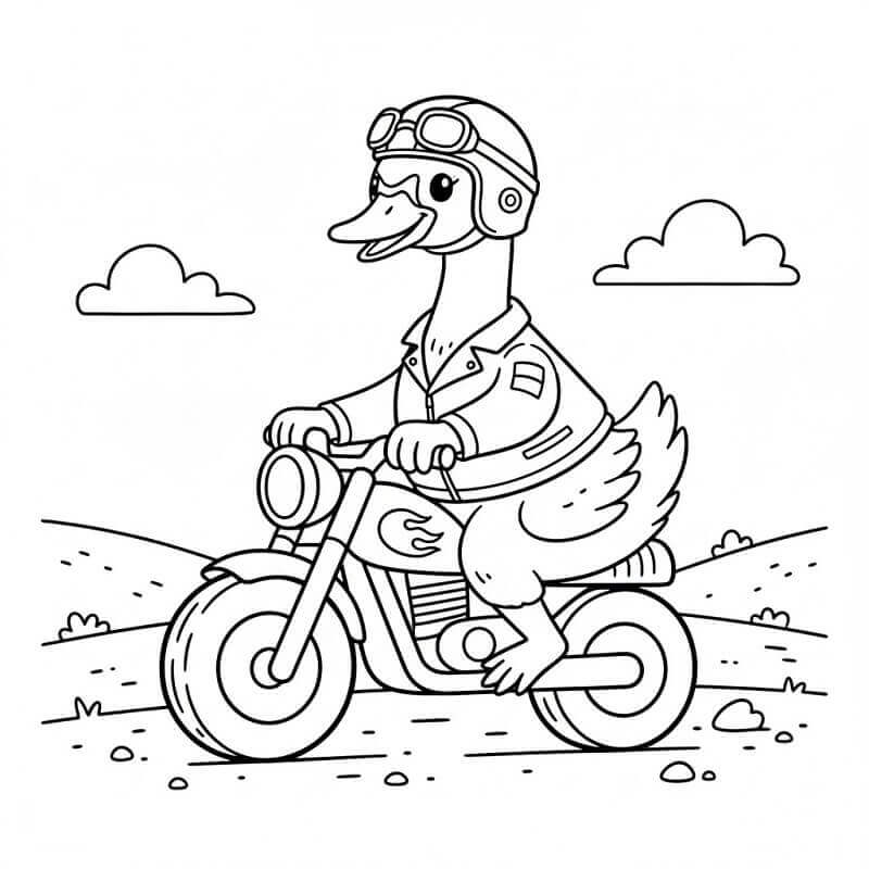 Motor Bisiklet Süren Kuğu Boyama Sayfası